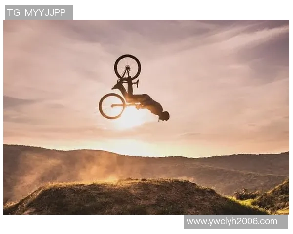 深度对话：王娜如何在排球世界中追逐梦想与挑战人生