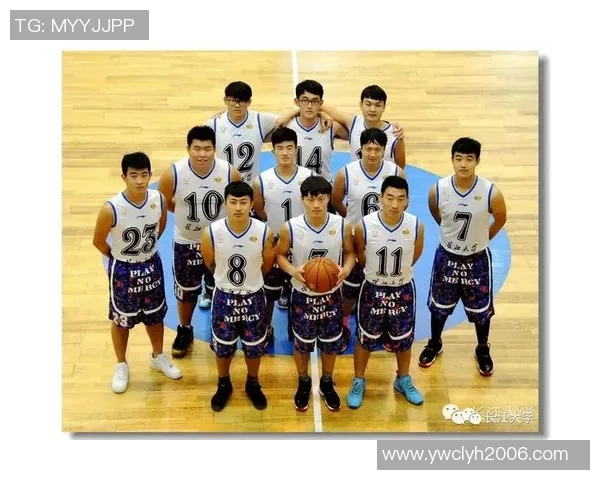 独家深度解析成都篮球队各队员实力对比与战术优势分析